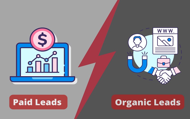 Organic Lead và Paid Lead 