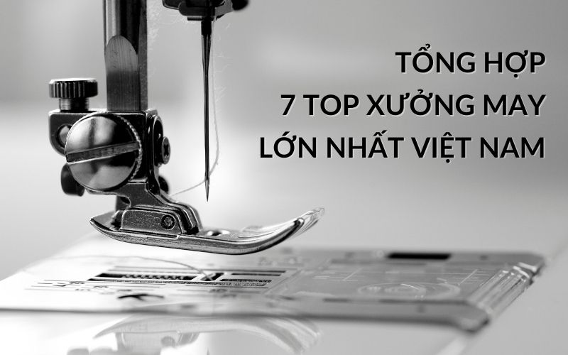 top xưởng may lớn nhất Việt Nam